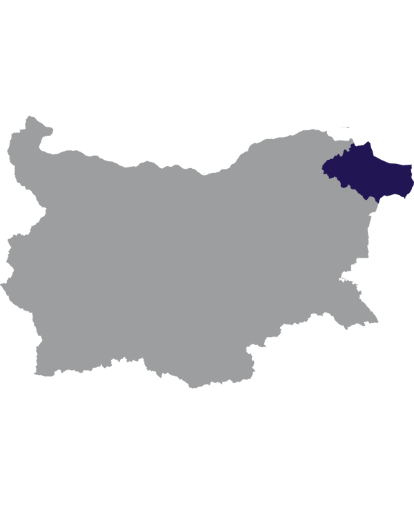 Landkaart Bulgarije grijs met oblast Dobritsj donkerblauw op transparante achtergrond - 600 * 733 pixels